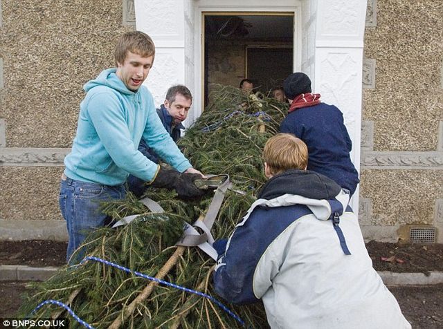 Weihnachtsbaum - Extreme