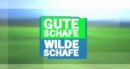 GSWS - Chaos auf der Weide