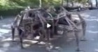 Spider Mobile