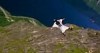 Wingsuit Base Jumping