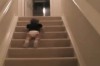 Baby vs. Treppe