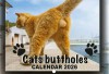 Cats Buttholes Calendar 2026