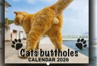 Cats Buttholes Calendar 2026