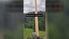 Das war knapp 417: Maibaum
