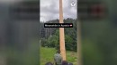 Das war knapp 417: Maibaum
