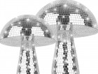 Disco Pilze