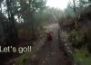 Downhill - Dog