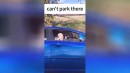 Du kannst hier nicht parken - Compilation #3