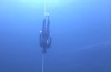Freediving World Record - 88 Meter