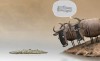 Gnus vs. Krokodil