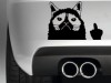 Grumpy Cat Sticker