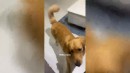 Hallo Coco! Tschüss Coco!