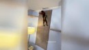 Katzen-Parkour