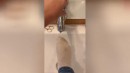 Lifehack #2