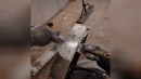 Neulich auf der Baustelle #6