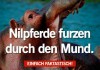 Nilpferde furzen durch den Mund: Einfach faktastisch!