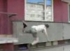 Parkour Fails