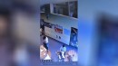 Pfoten - Erste Hilfe