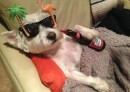 Bildschirmarbeiter - Picdump KW 18/2026