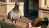 Pigeon: Impossible