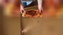 Pizza Lifehack