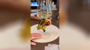 Pole Dance mal anders