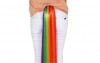 Regenbogen - Pferdeschwanz