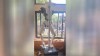 Robot - Poledance