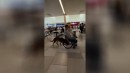 Rollstuhlfahrer mit Hund