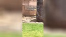 Schutz vor Regen
