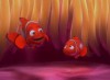 Taken Nemo