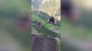 Teppich - Basejumper
