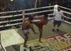 Thai Fight