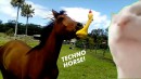 The Kiffness: Techno Horse X
