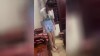 Tolle Shorts