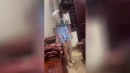 Tolle Shorts